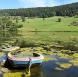Gdzieś na odludziu 