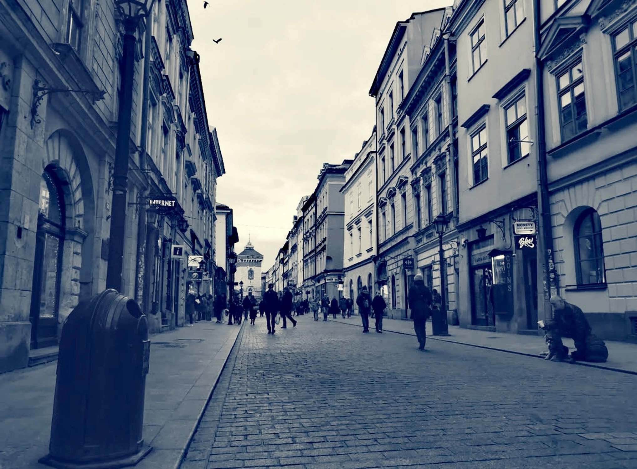 Ptaki nawet go nie widzą 