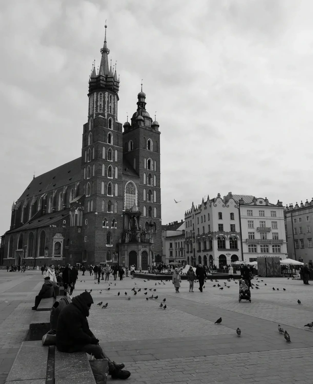 Gołębie go znają. 