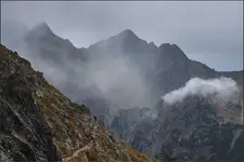 Szarozamyślenie