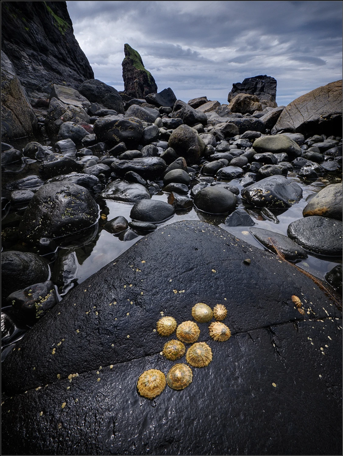 Talisker