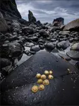 Talisker