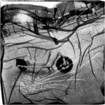 z cyklu: subiektywne spacery powarszawskie