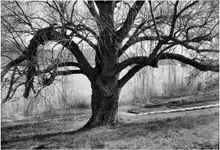 może to już wiosna?