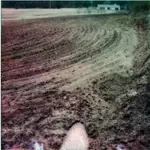 gdzieś w kieleckiem