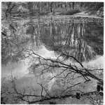 wiosna w "Skaryszaku"