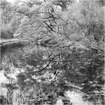 wiosna w "Skaryszaku"