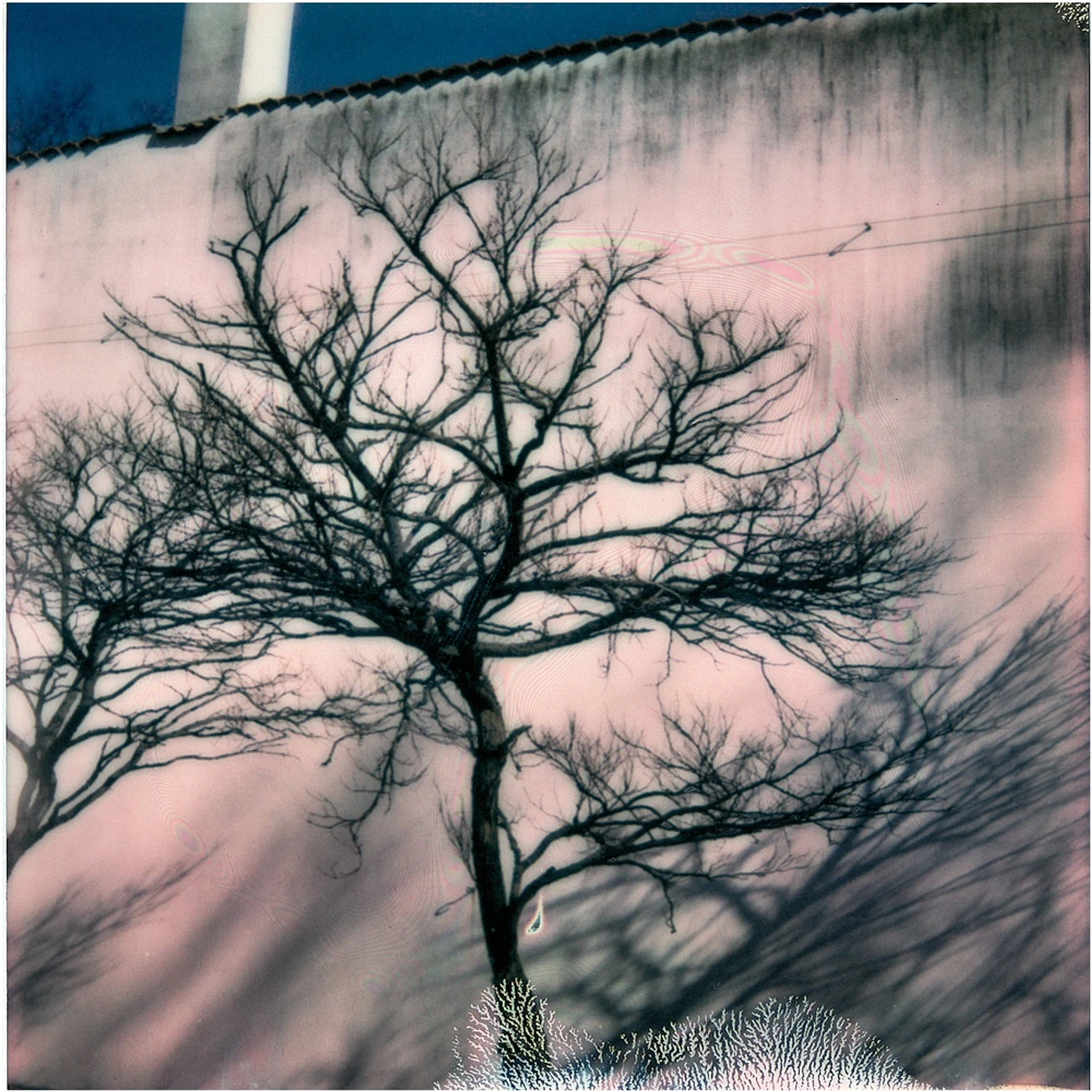 z cyklu: subiektywne spacery powarszawskie