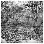 wiosna w "Skaryszaku"