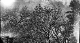 z cyklu: subiektywne spacery powarszawskie