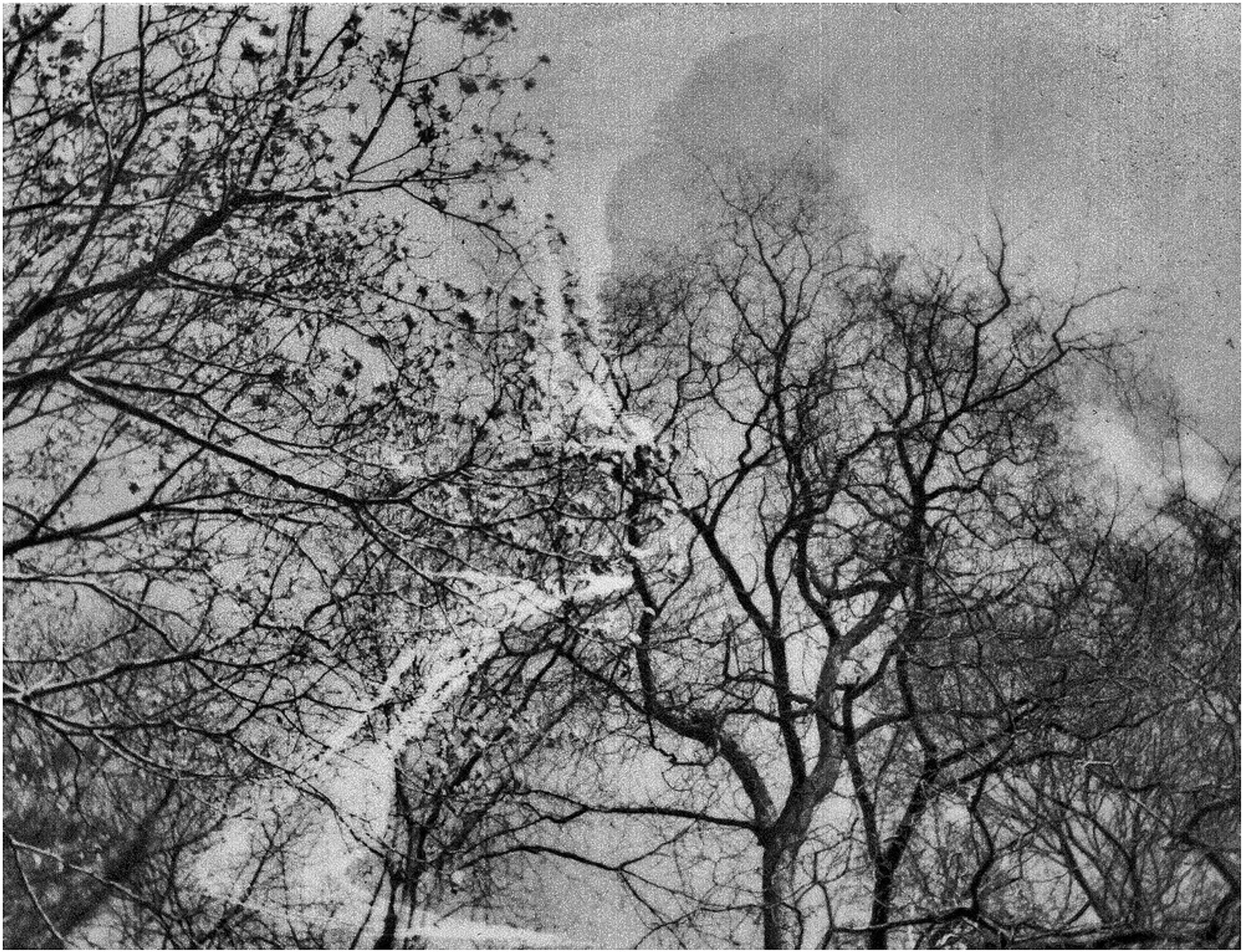 z cyklu: subiektywne spacery powarszawskie