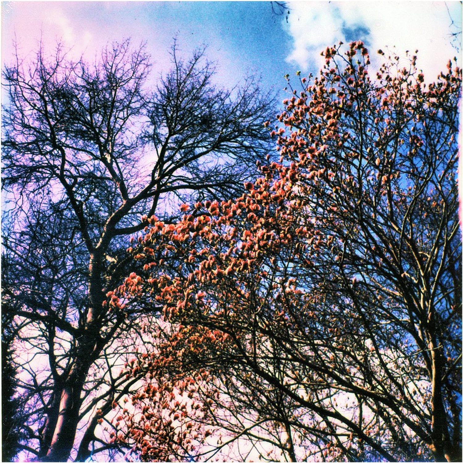 z cyklu: subiektywne spacery powarszawskie