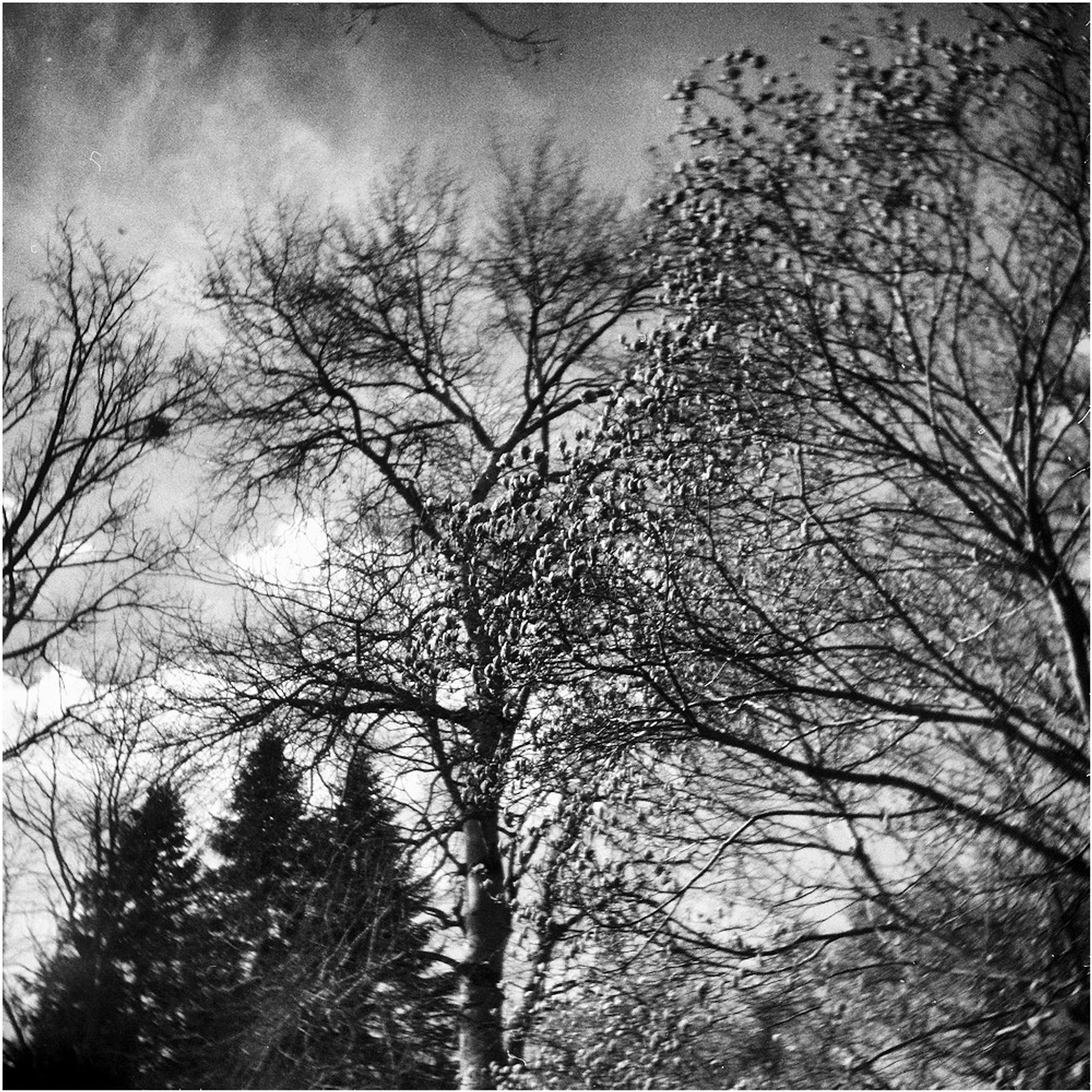 z cyklu: subiektywne spacery powarszawskie