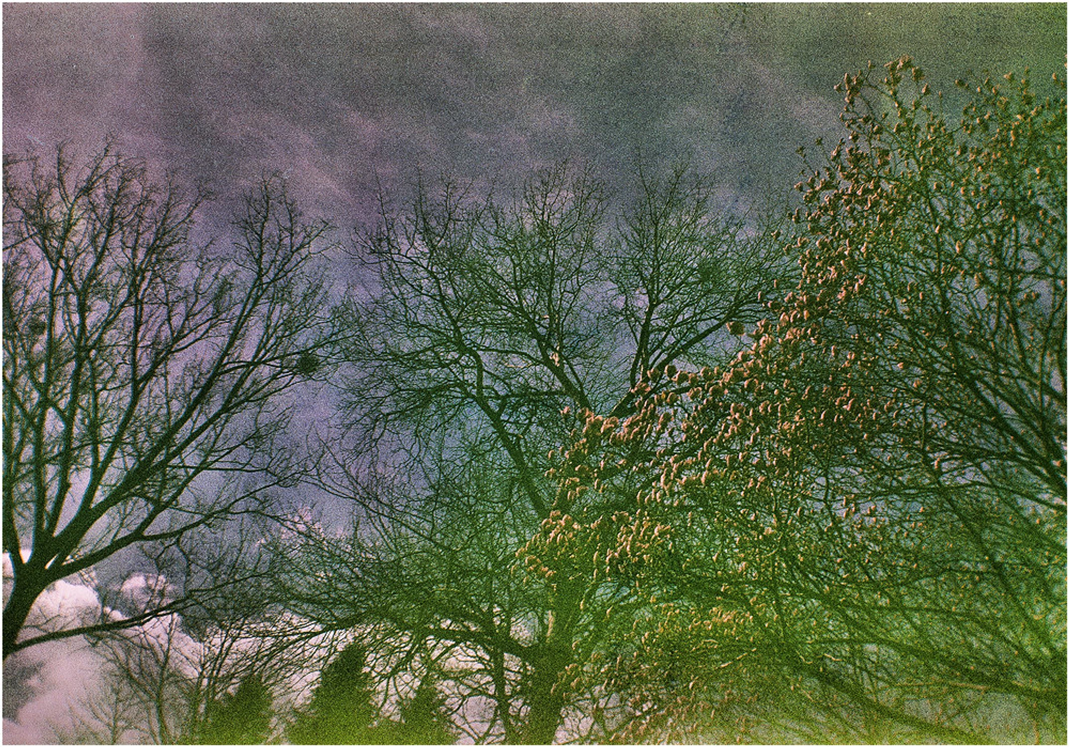 z cyklu: subiektywne spacery powarszawskie