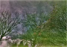 z cyklu: subiektywne spacery powarszawskie