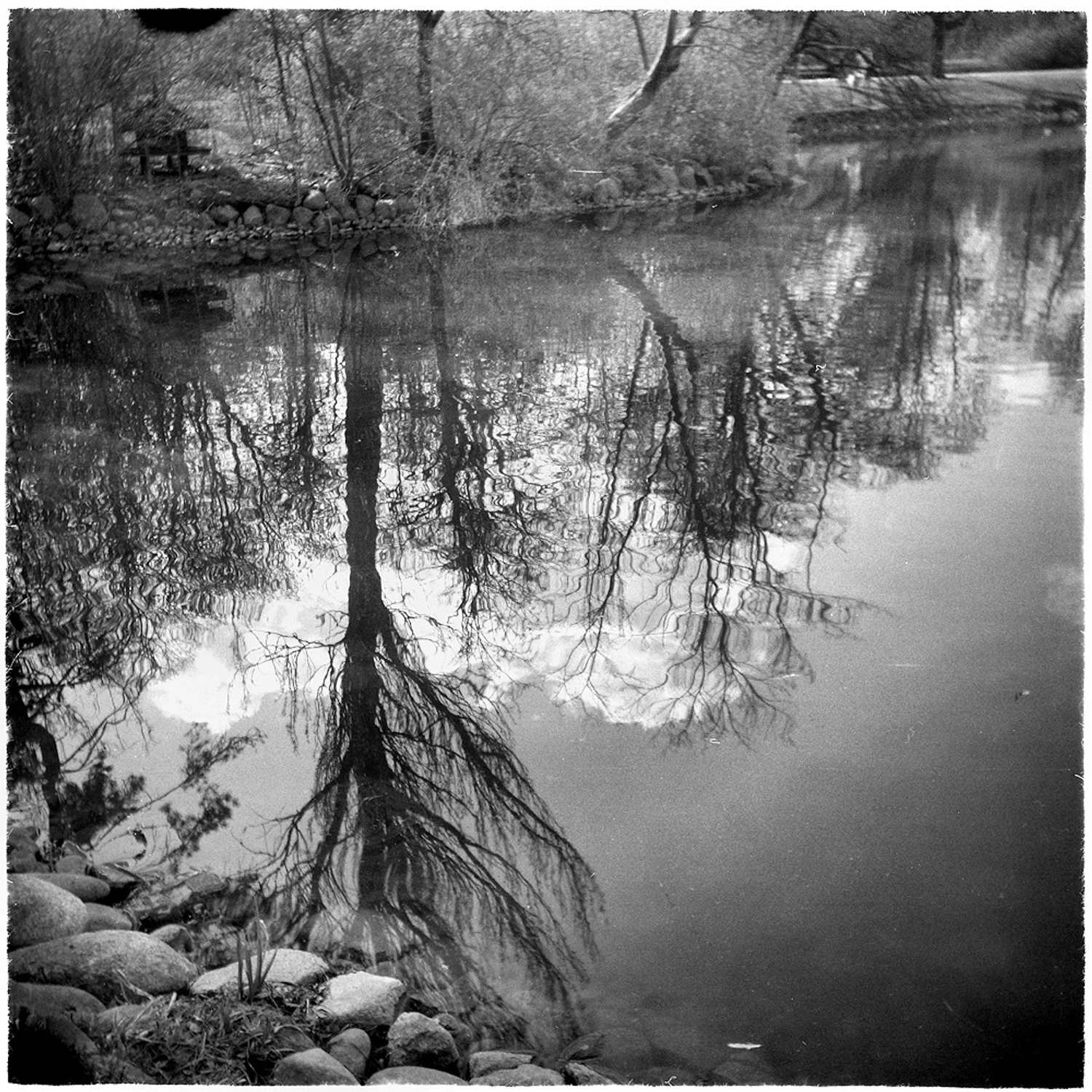 z cyklu: subiektywne spacery powarszawskie