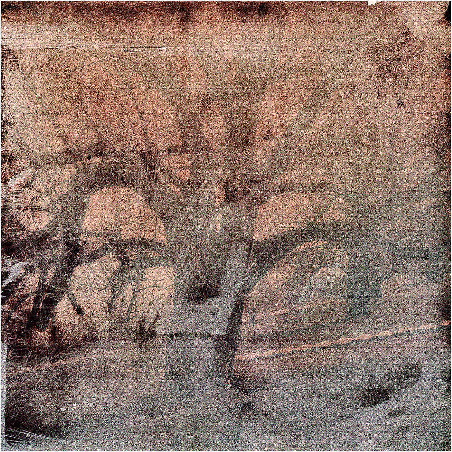 tzw. kreatywność polaroidowa