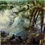 wiosna w "Skaryszaku"