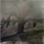 może to już wiosna?