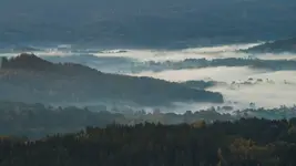 Bladym Świtem 