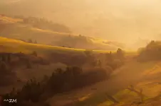 W świetle poranka 