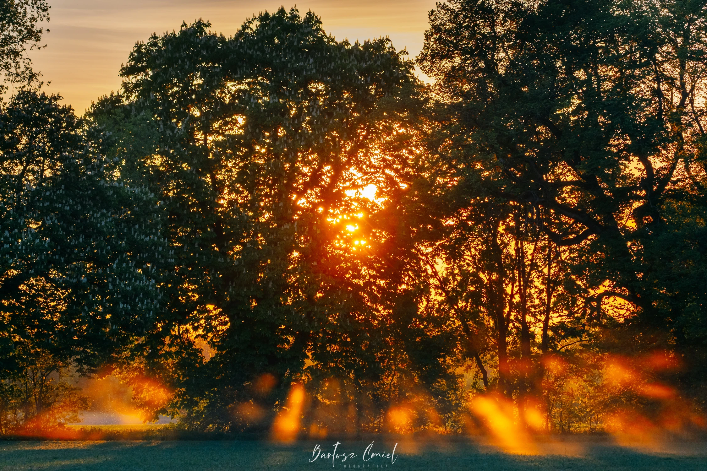 Promienie końca dnia