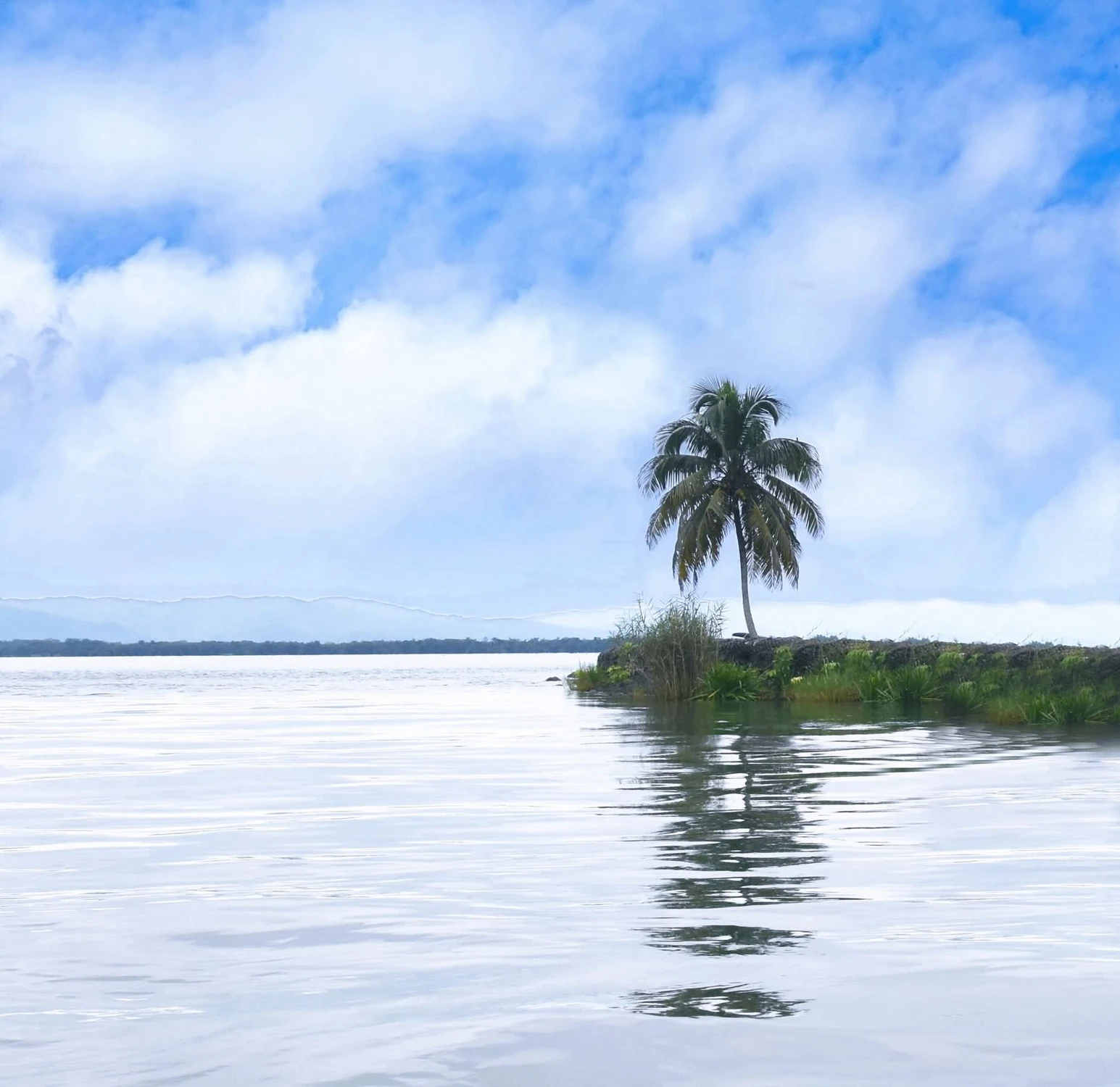 A ja rosnę i rosnę 