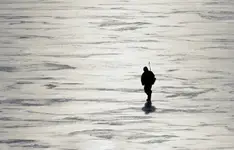 ze spuszczoną głową powoli...