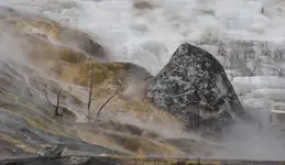 Mammoth Hot Springs