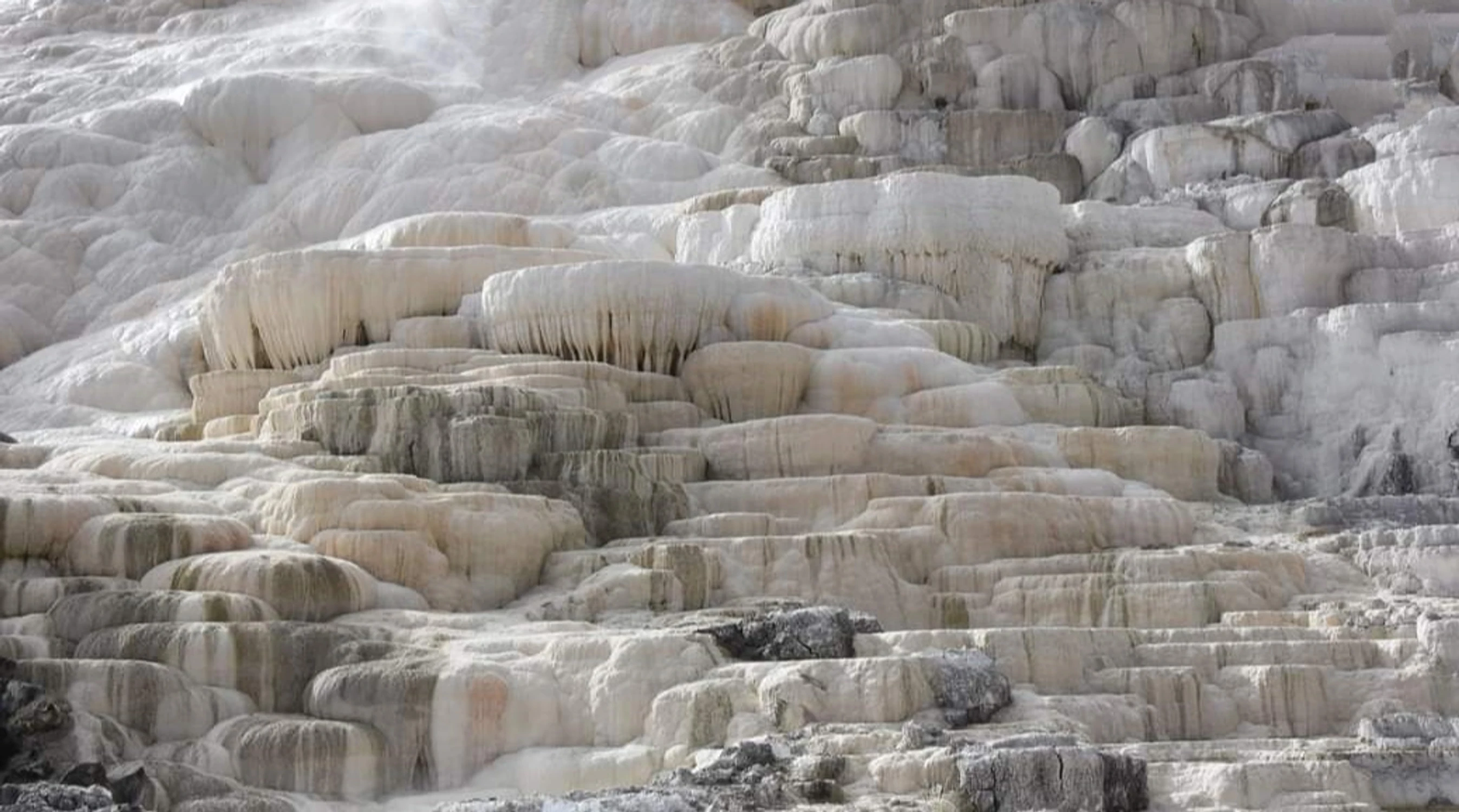 Yellowstone 