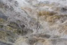  Mammoth Hot Springs