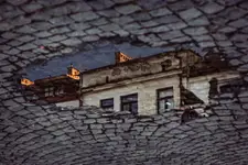 Gołębie w Kazimierzu
