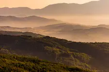 Foresta di Sant'Antonio