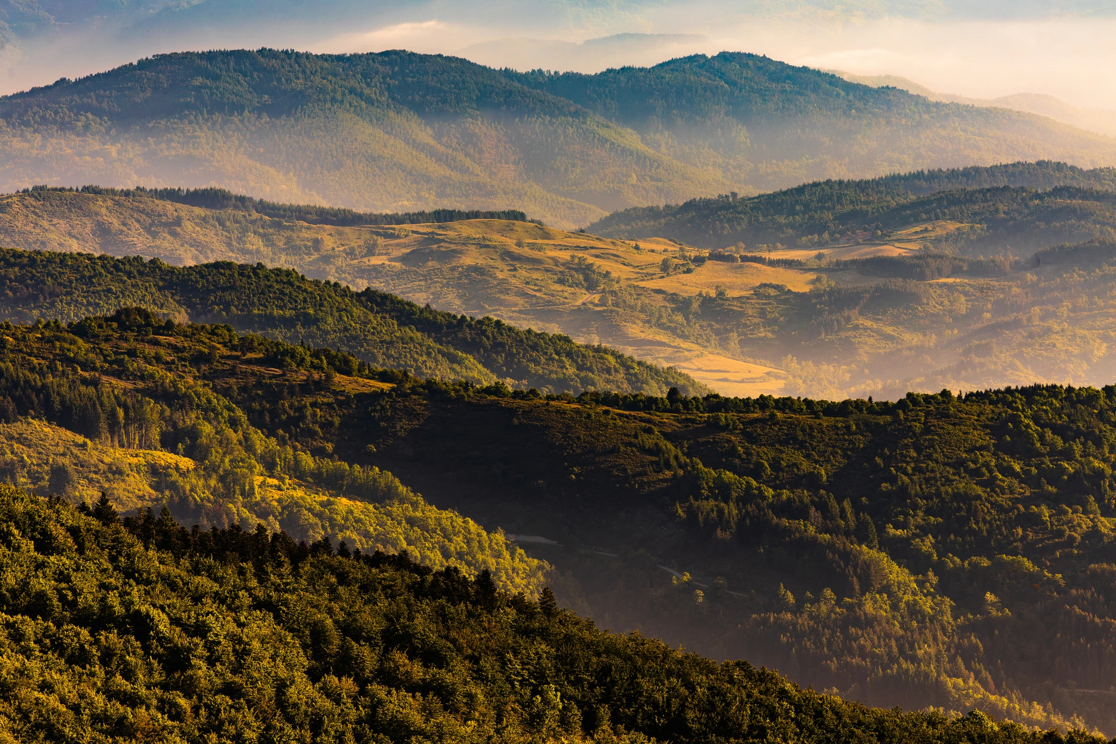 Area Naturale Protetta di-Interesse Locale Foresta di_Sant'Antonio