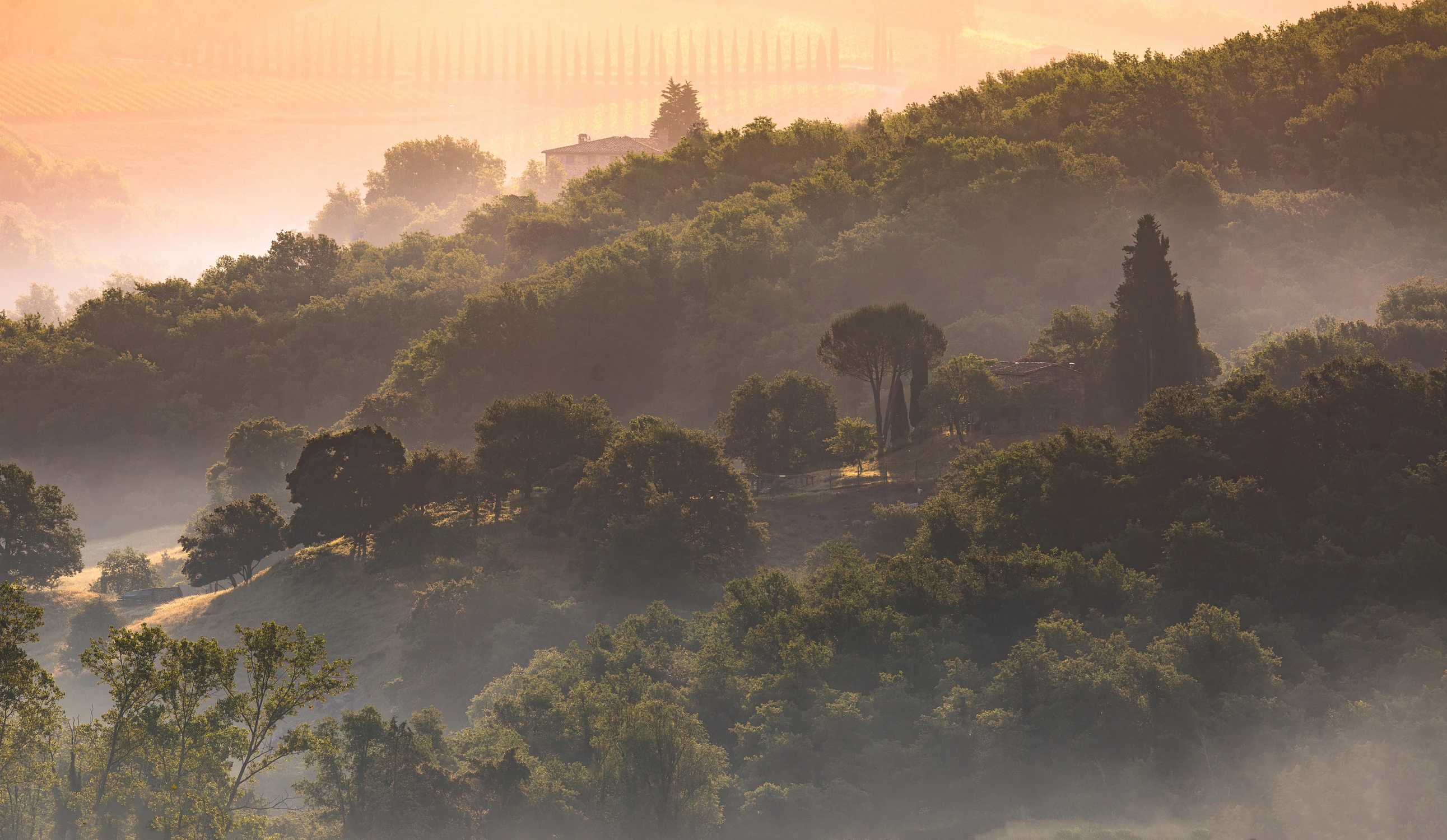 Wypas i wszystko dookoła