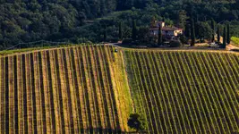 Traktor, drzewo i czerwony hydrant