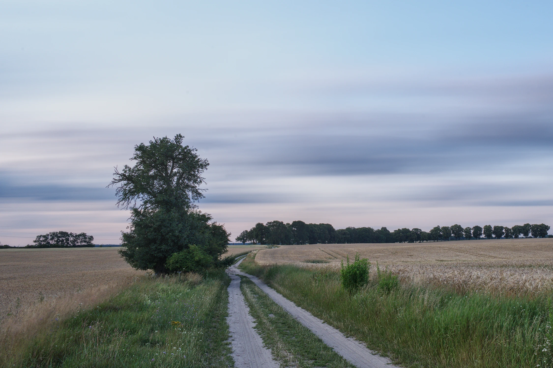 GDZIE OCZY PONIOSĄ