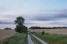 GDZIE OCZY PONIOSĄ