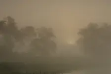 MGLISTY PORANEK