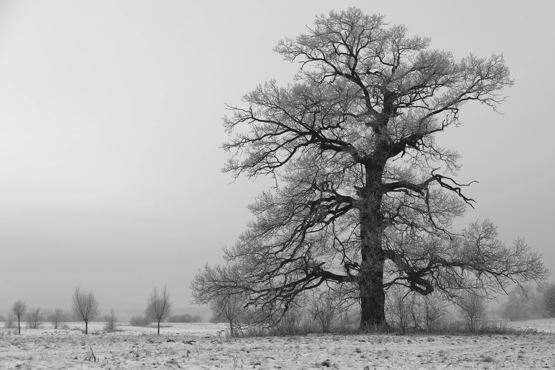 Kiedyś też będziecie duzi