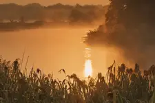 ZŁOTA RZEKA