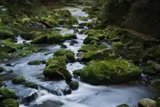 KAMIENNA